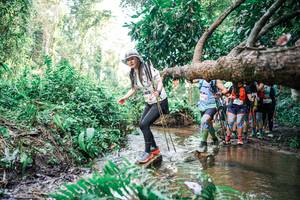 BIB: 
                            <button type="button" onclick="openModal(25514440)" class="btn btn-primary btn-sm float-right btn-popup" data-toggle="modal" data-target=".modal-high-quality">
                        <i class="fas fa-shopping-cart"></i> Add to Cart
                    </button>
                                            <button type="button" onclick="isThisMe(25514440, true)" class="btn btn-success btn-sm float-right btn-popup btn-isme hidden" data-toggle="tooltip" data-placement="bottom" title="นี่คือรูปของคุณใช่ไหม คลิกที่นี่เพื่อเอาเข้าอัลบั้ม">
                        <i class="fas fa-plus"></i> Add to album
                    </button>
                    <button type="button" onclick="isThisMe(25514440, false)" class="btn btn-warning btn-sm float-right btn-popup btn-isnotme hidden">
                        <i class="fas fa-ban"></i> Remove from album
                    </button>